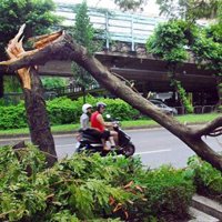 Más de un millón de evacuados ante la llegada del tifón Krosa a la costa suroriental de China