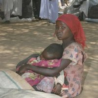 Diez millones de ni&#241;os viven sometidos a la prostituci&#243;n, tr&#225;fico y turismo con fines sexuales, seg&#250;n UNICEF 