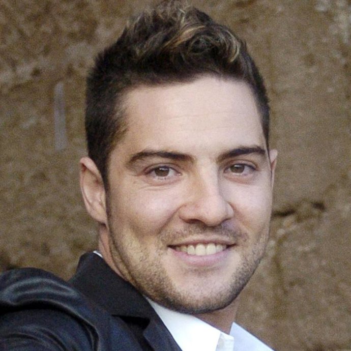 David Bisbal recoge la Medalla de Oro de la Provincia, por su difusión de los valores de Almería