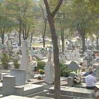 Los jueces concedieron 90.242 órdenes de protección para mujeres desde la aprobación de la Ley