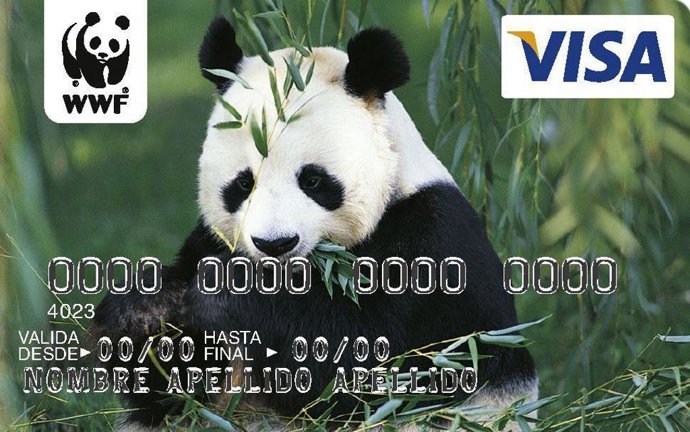 VISA