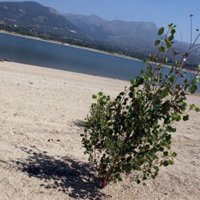 Este ha sido el octavo invierno más calido desde 1971 y el primero desde 2000, con 8,78 grados de media