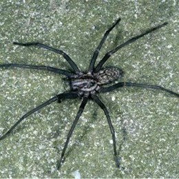 Museo de Ciencias Naturales