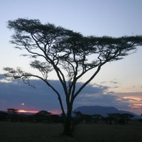 Los parámetros medioambientales españoles registran un empeoramiento "relativo" en dos años