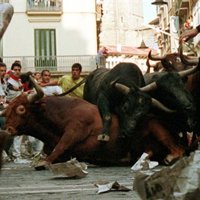 La de Sogecable es la única con acceso al callejón y la plaza de toros.