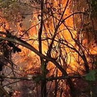 Un 48% de los incendios registrados en España son no intencionados