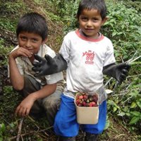 Expertos lamentan que el tratamiento informativo de la infancia prescinda de "la voz de los niños" en Iberoamérica