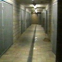 El padre de la niña a la que intentaron envenenar con alcohol pide su tutela