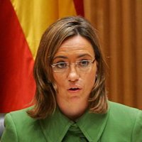 Chacón dice que el Gobierno no autorizaría "nunca" vuelos ilegales