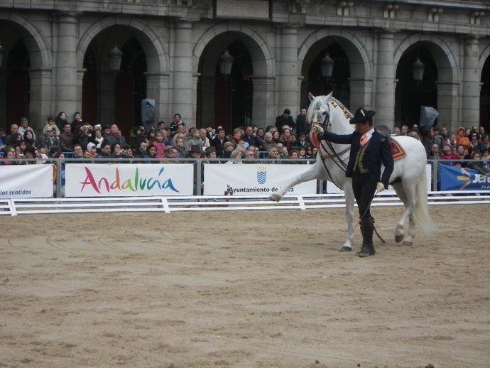 Plaza Mayor de Madrid