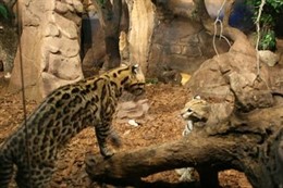 Angelita y Brad compartiendo su día