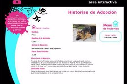 Civiccan, una página web donde adoptar perros