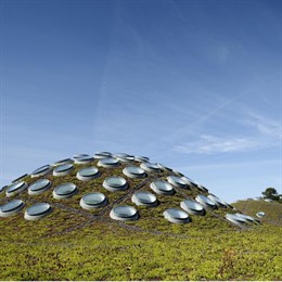 Tejado viviente de la Academia