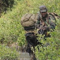 El CICR alerta del empeoramiento de la situación de los civiles en Sri Lanka