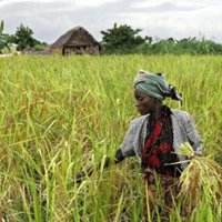 España figura entre los seis países que más incrementaron su ayuda al desarrollo en 2008, según la OCDE