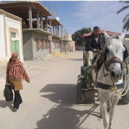 desigualdad mujer irak irán 