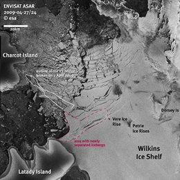 Placa de hielo Wilkins