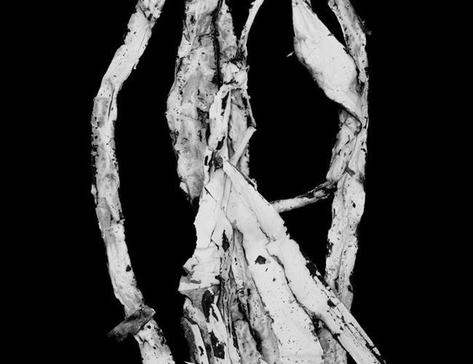 Figure 3 de Paul Sietsema