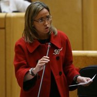 Chacón responde a preguntas sobre el brote de gripe A en la Base de Hoyo de Manzanares