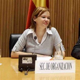 Leire Pajín, en el Congreso de los Diputados