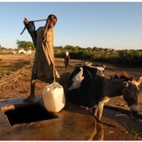 Bruselas compromete 8 millones de euros para hacer frente a la crisis humanitaria en Zimbabue