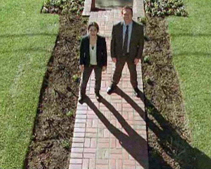 Live, serie telecinco