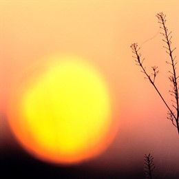 sol sequía desierto cambio climático