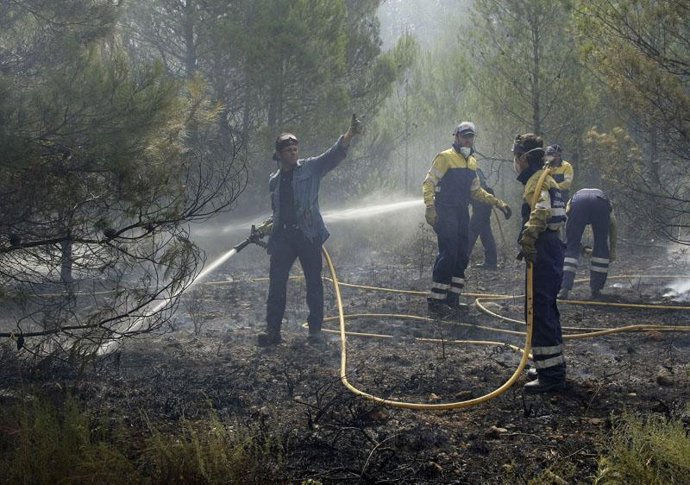 Incendio forestal en Tarragona