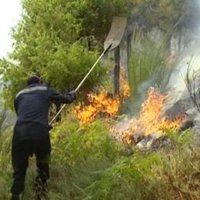 Greenpeace alerta que los incendios "de cuarta generación" se convierten en "algo habitual"