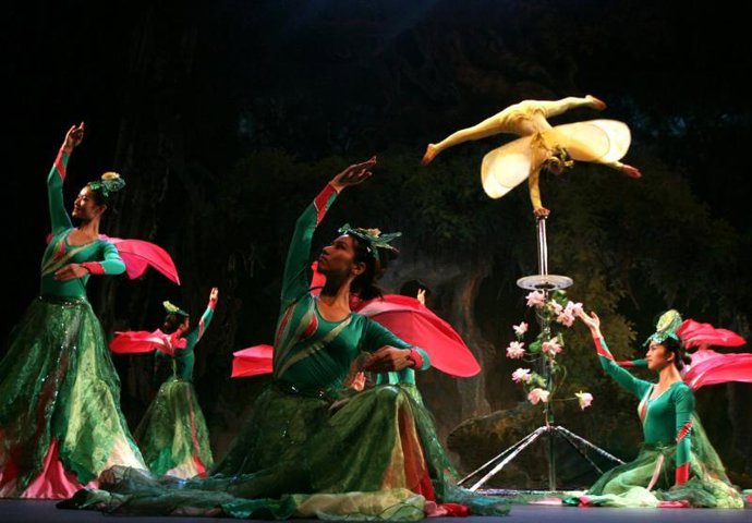 Circo Acrobático Nacional Chino