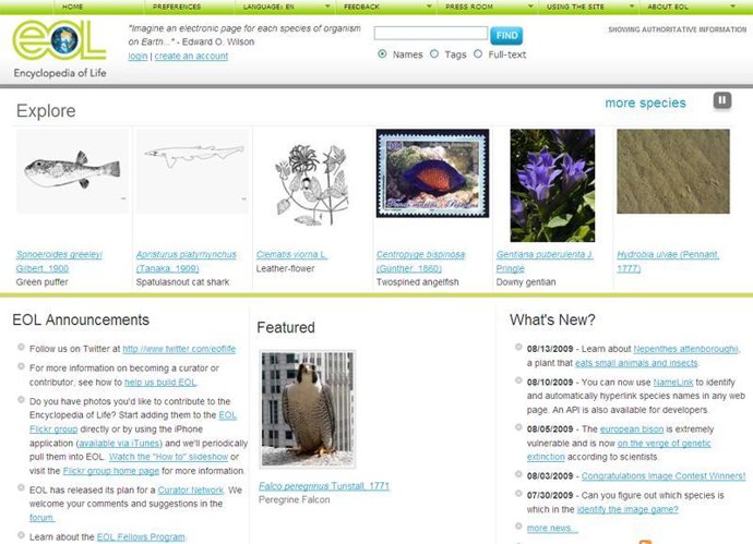 Encyclopedia on-line