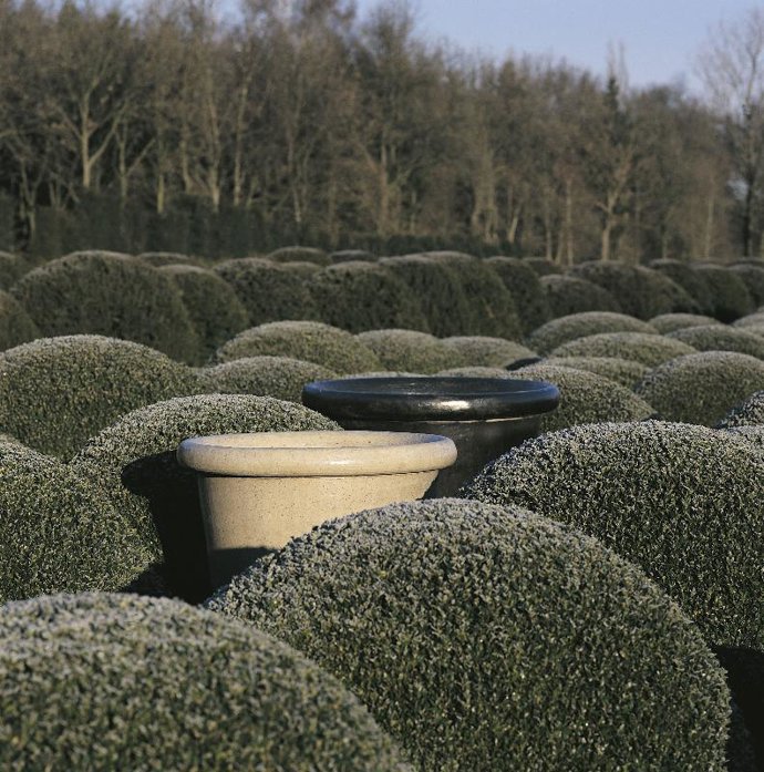 Caída de las hojas en elotoño.