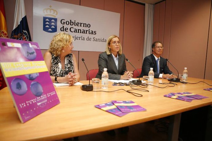 La consejera canaria de Sanidad, Mercedes Roldós, en el centro de la imagen dura