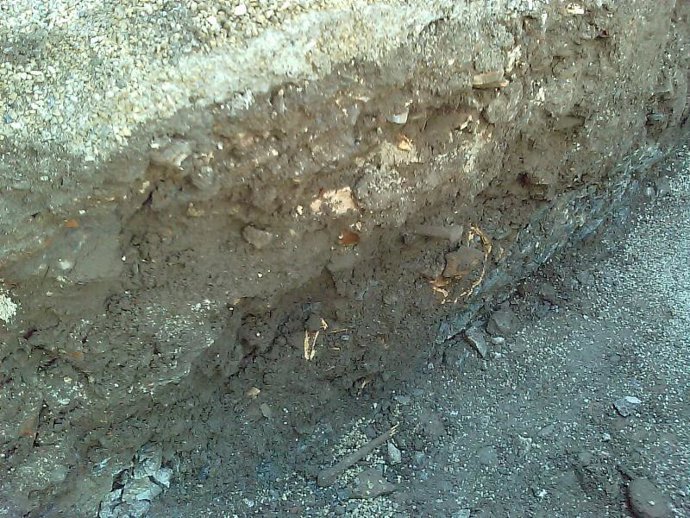 Imagen de los restos óseos localizados en Almuñécar