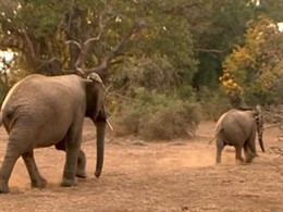 'Callejeros Viajeros'