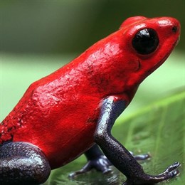 Fotograma de 'Mundos de Agua'