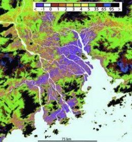 Delta de río imagen vía satélite