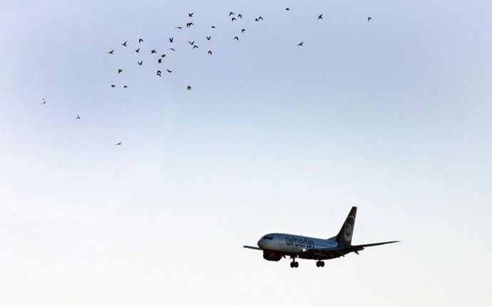 Avión de Air Berlin