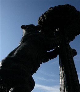 Monumenro el Oso y el Madroño