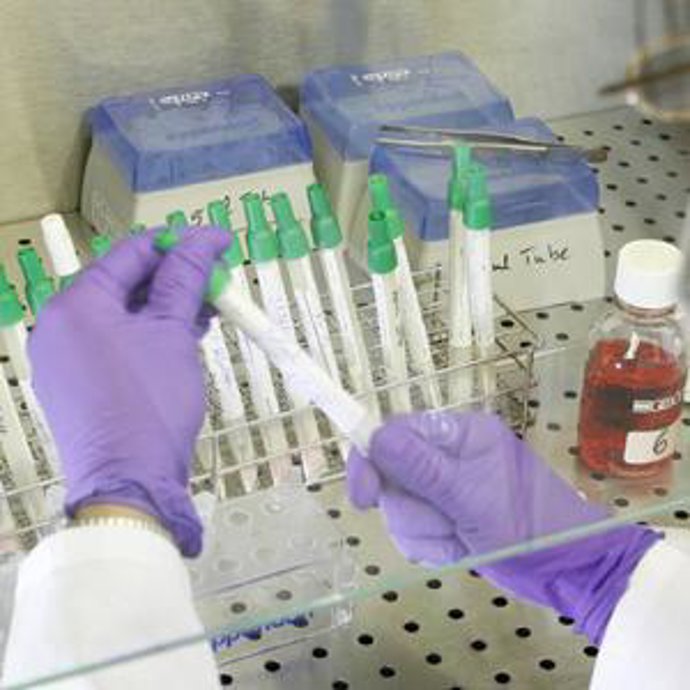 La investigación en cáncer de mama permitirá conocer docenas de subtipos de tumores