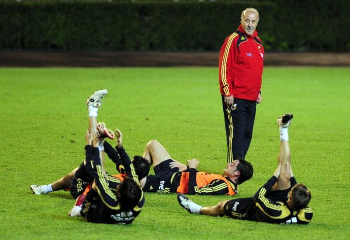 Entrenamiento de España, Vicente del Bosque
