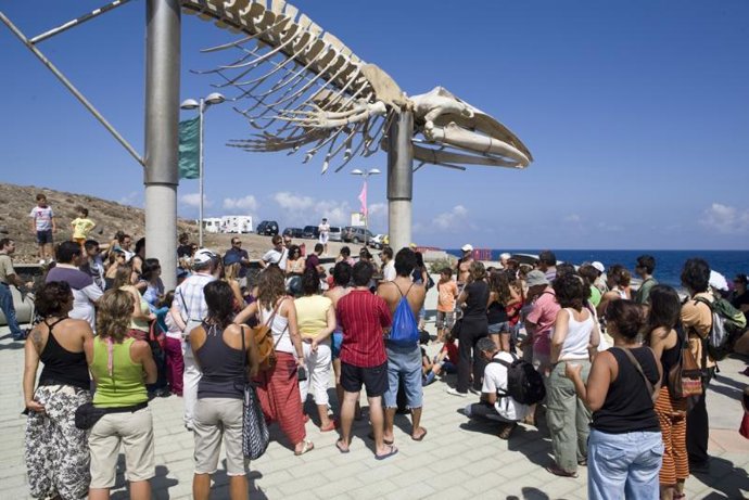 El Festival Boreal se celebró el pasado sábado en la costa de Los Silos (Tenerif