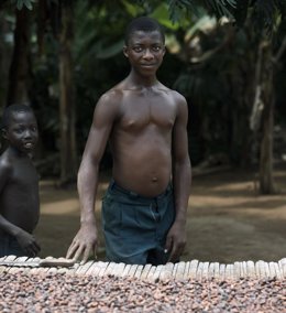 Cacao Comercio Justo Fairtrade