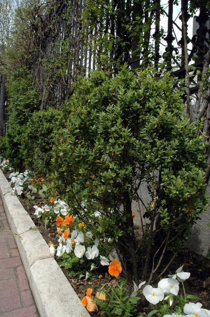 Tener un jardín de mayores dimensiones es fácil.