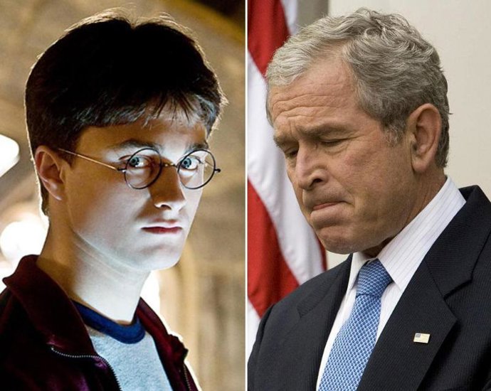 Harry Potter y Bush