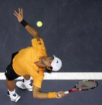 Verdasco no puede con Davidenko en la final