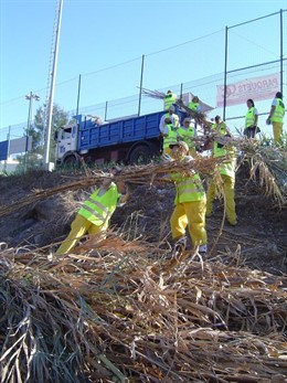 Varios operarios llevan a cabo tareas de limpieza en el barranco de Cardones 
