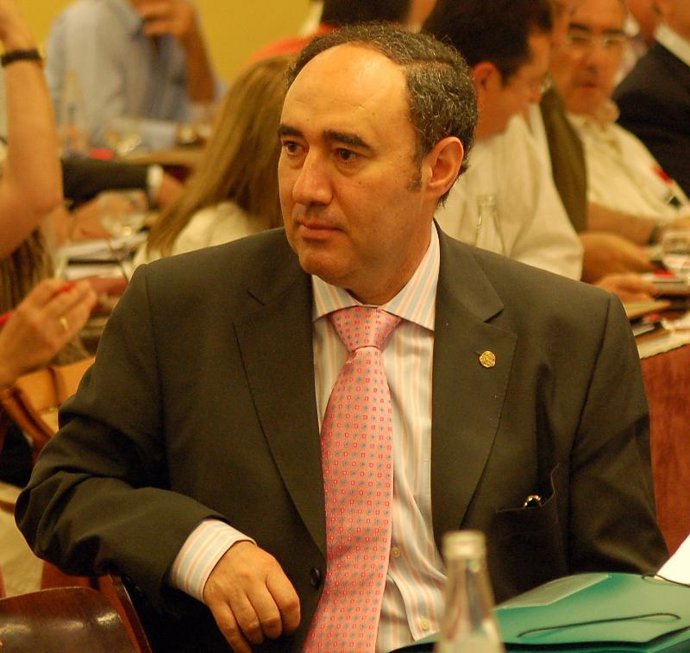 Nicolás Fernández Guisado, presidente ANPE