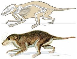 mamífero del Cretácico