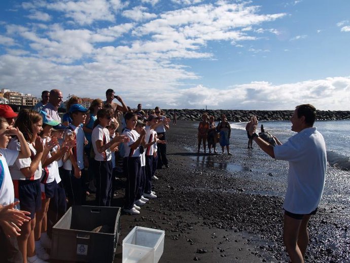 El Ayuntamiento de Güímar lleva a cabo una suelta de tortugas bobas